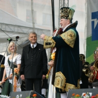 parade-zum-bergstadtfest-201117