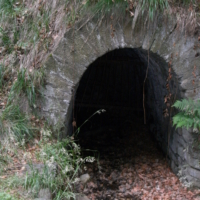 r7154441