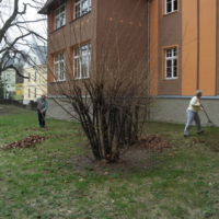 sam_2491