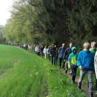 lange Schlange