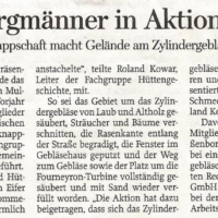 artikel fp 20-04-15 frhjahrsputz