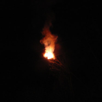 Fackelwanderung 2007