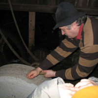 Frohnauer Hammer, 2008
